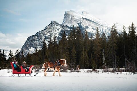 Giro in slitta trainato da cavalli privato a Banff