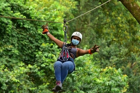 Rainforest Canopy Adventure Pacific