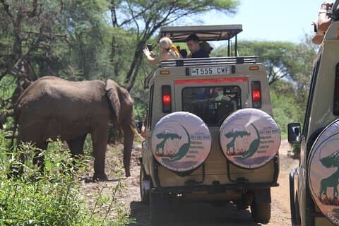 Safari magique Big Five de 6 jours
