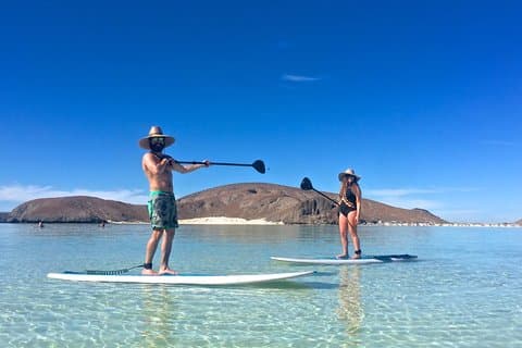 1 Day Espiritu Santo Island Wonders, Sea Lions and Paddleboard Adventure