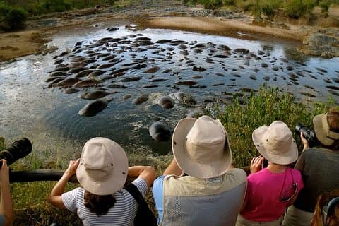 5 días de safari clásico al lago Manyara, Ngorongoro y Serengueti