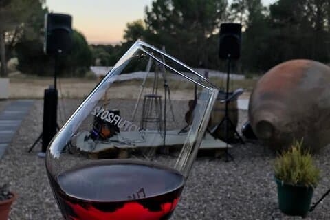 Bezoek en wijnproeverij bij de Luthier Territory Winery