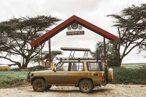 Heldags safaritur Lake Manyara eller Tarangire nasjonalpark