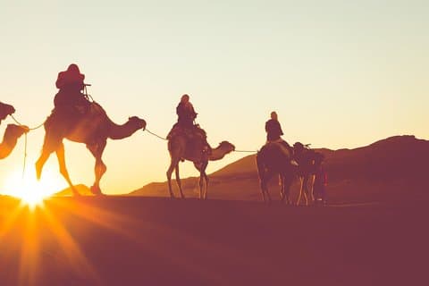 Camelo a cavalo ou passeio de burro ao longo da Cisjordânia