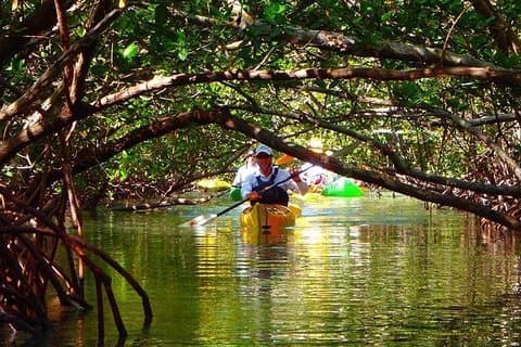 Tour tropical en kayak y aventura en la isla de Fort Lauderdale