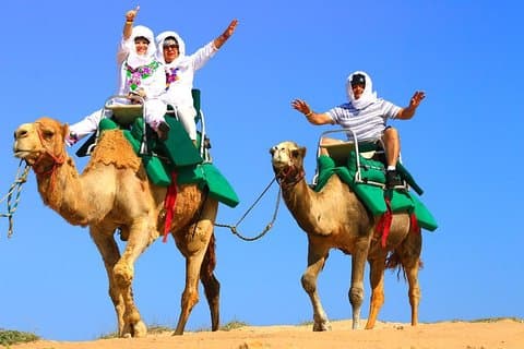 Cabo Camel and Safari Ride