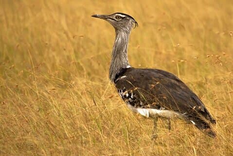 Bhuj to Narayan Sarovar Sanctuary Private Day Tour