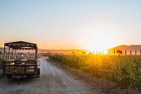 Valle de Guadalupe Premium Wijn- en Wijngaardwagen Tour