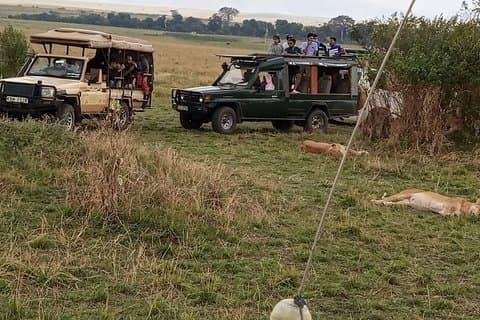 5-Day Tanzania Camping Safari: Manyara, Serengeti & Ngorongoro
