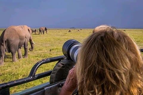Excursão diurna às Cataratas Vitória a Chobe Park e passeio de barco!