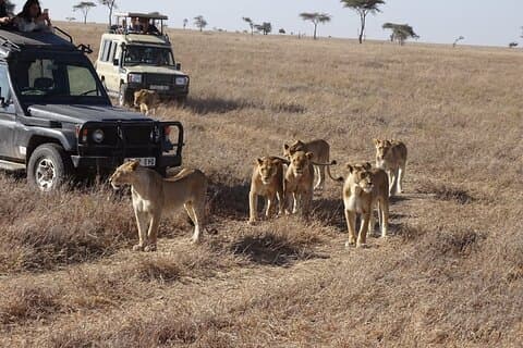 3-tägige Gruppe, die mit einem Land Cruiser Jeep an einer Safari nach Maasai Mara teilnimmt