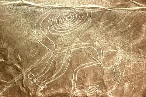 Vanuit Lima: Volledige dag Nazca lijnen & Huacachina tour