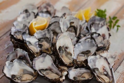 Bruny Island Traveler - Gourmetsmagning og sightseeing-dagstur fra Hobart