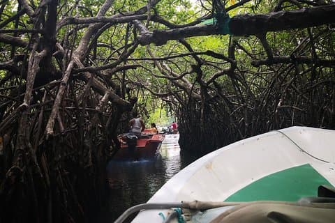 Passeio pela cidade de Bentota saindo de Panadura