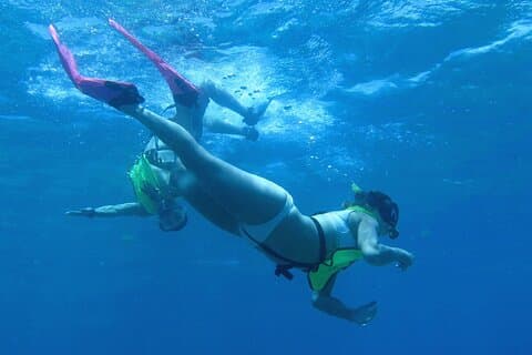 Reef and Turtle Adventure - Kayak and Snorkel Tour