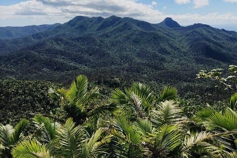 El Yunque Rainforest Waterslides and Luquillo Beach w/ Transport