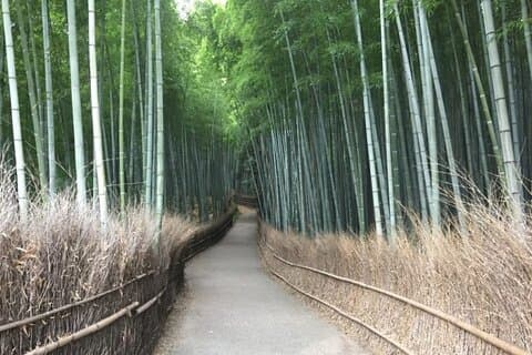 Privérondleiding met gids in Kyoto, Arashiyama