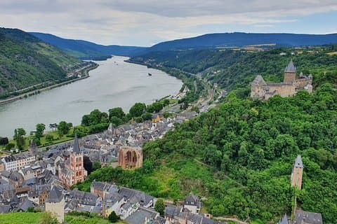 Private day trip to the Romantic Rhine Valley with river cruise and wine tasting