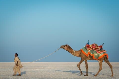 Bhuj zu White Rann von Kutch