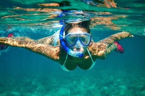 Snorkeloplevelse i Cabo San Lucas (4 timer)