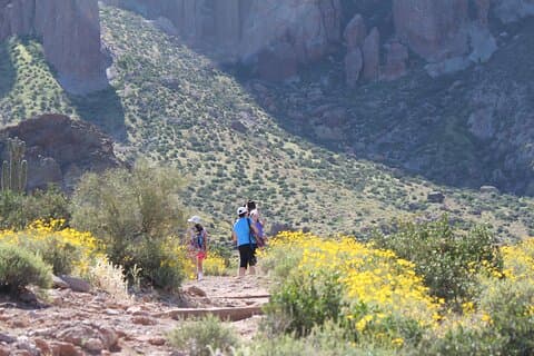 Apache Trail Private Half-Day Tour
