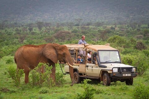 3-dagars Samburu Luxury Safari