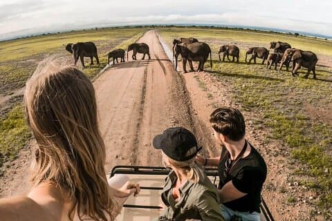 4-Day |Sharing Safari, Tarangire, Serengeti, Ngorongoro