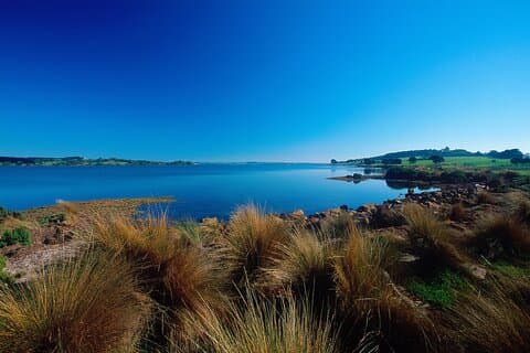 1 dag eksklusivt privat tur til Phillip Island & The Penguin Parade