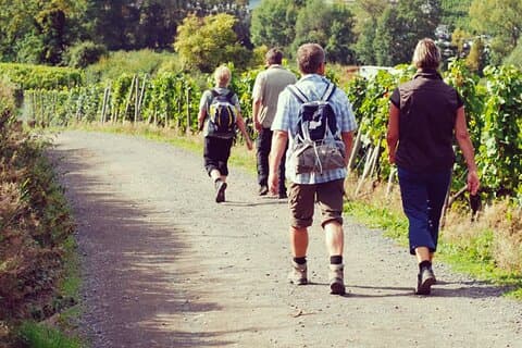 Vinvandring Sip & Trek