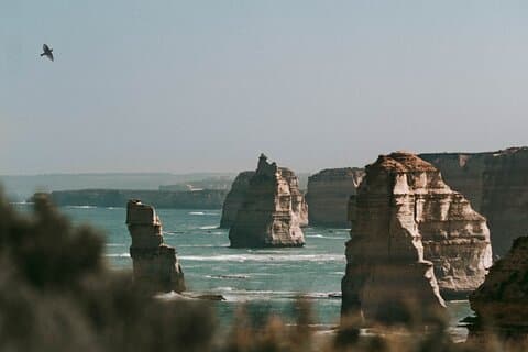 Half-Day or Full-Day Tour with Private Guide from Melbourne
