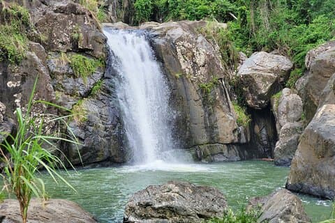 Puerto Rico Tour to El Yunque Rainforest Hiking to Waterfall