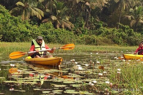 Goa Kayaking Sal Backwaters Mangroves Magic!