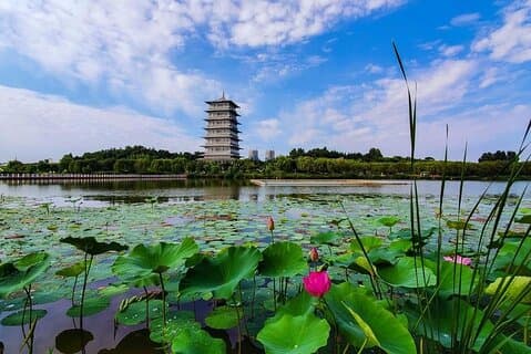 プライベート送迎による国際園芸博覧園への往復