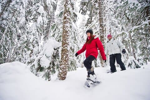 Recorrido con raquetas de nieve Medicine Trail