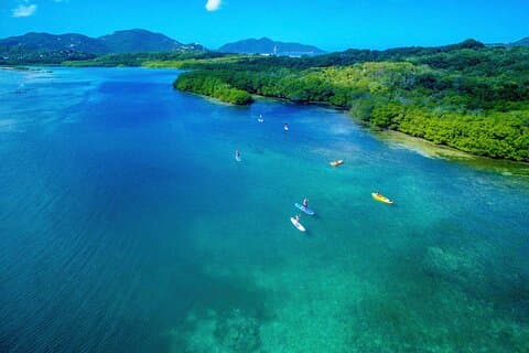 Magic Mangrove Paddle i Beef Island Lagoon