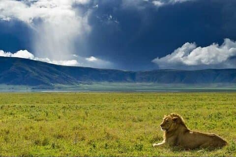 Safari compartido de 3 días: Parques nacionales de Manyara, Ngorongoro Crater y Tarangire
