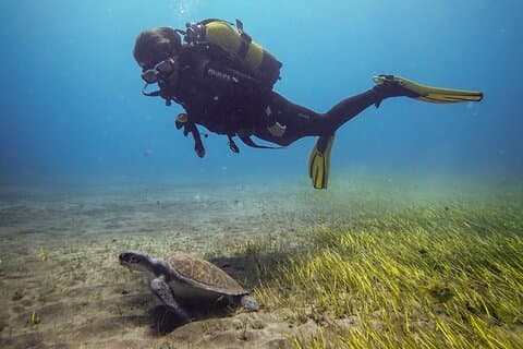 SSI Open Water, södra Teneriffa
