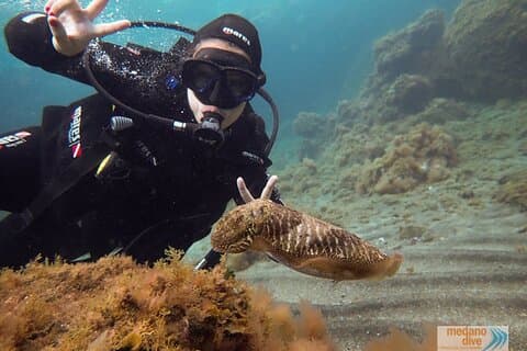 SSI Scuba Diver-cursus in Médano
