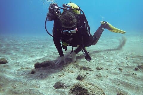 SSI basic diver In Tenerife - 2 Dives
