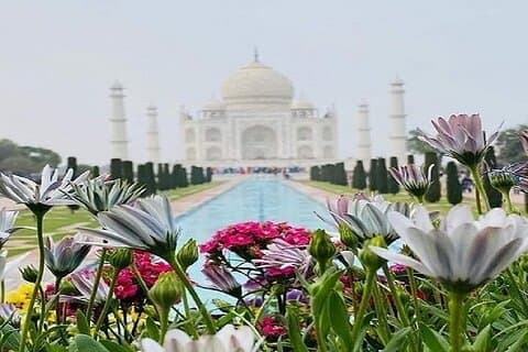 Tour dello stesso giorno del Taj Mahal da Delhi con pranzo in hotel 5 stelle