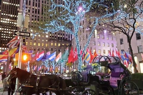 Promenade privée en calèche privée aux lumières de Noël à New York