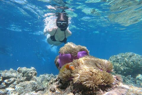 Tour di snorkeling alla Laguna Blu con trasferimento in hotel privato