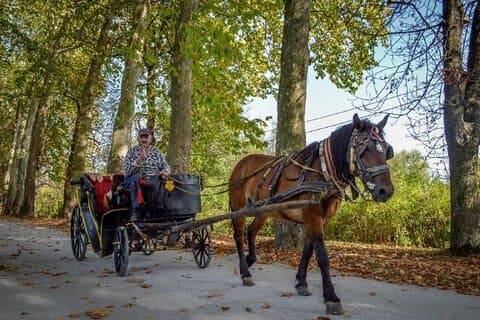 Giro privato in carrozza a Vrelo Bosne