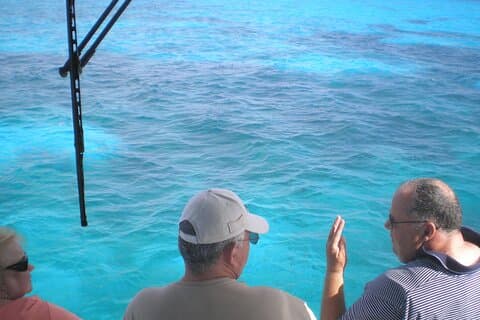 Aventure en bateau à fond de verre sur le récif corallien de Key Largo