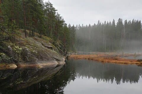 Halvdags Natur Adventure til Nuuksio National Park fra Helsinki