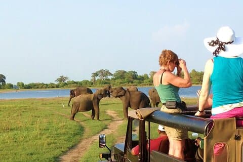 Safari privato di osservazione della fauna selvatica di 8 giorni e monitoraggio degli scimpanzé