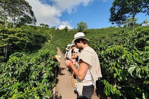 Passeio pelo Vale de Cocora e Fazendas de Café