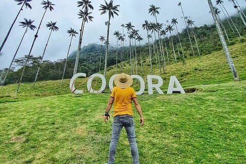 Passeio curto no Vale do Cocora