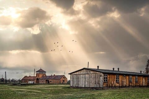 Auschwitz and Birkenau WITHOUT TICKETS transport from Kraków