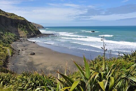 Visite de la côte ouest sauvage d'Auckland et des plages de sable noir yc Déjeuner